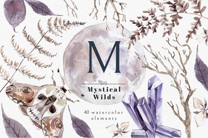 mystical-wilds-watercolor-set