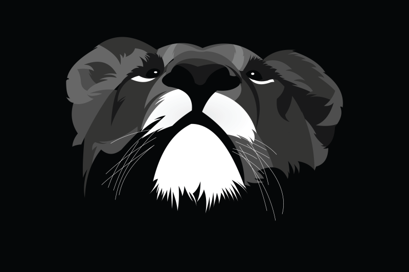 lion-head-illustration