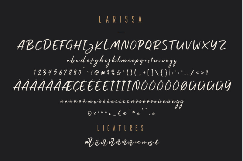 larissa-handwritten-font-bonus