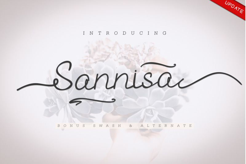 sannisa-script-swash-update