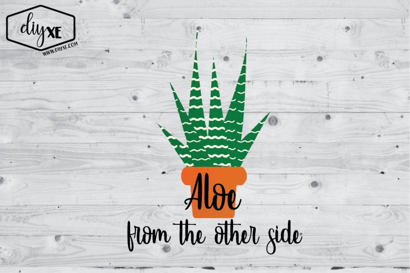 aloe-from-the-other-side