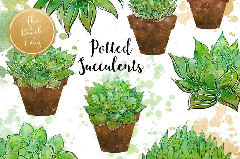 succulent-potted-plant-clipart-set