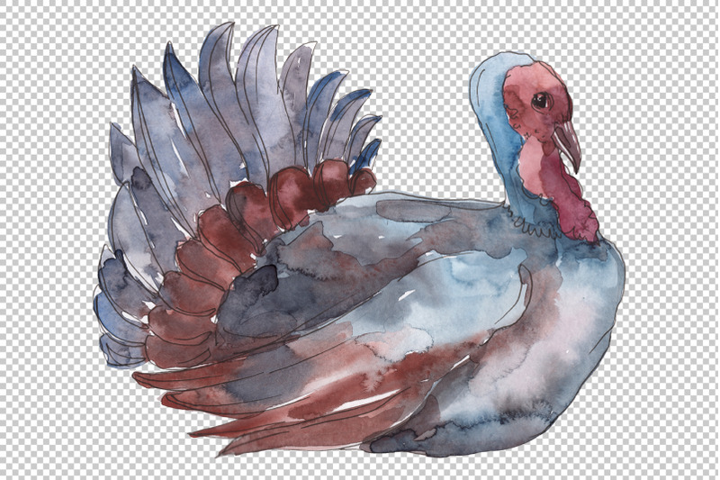 farm-animals-turkey-watercolor-png