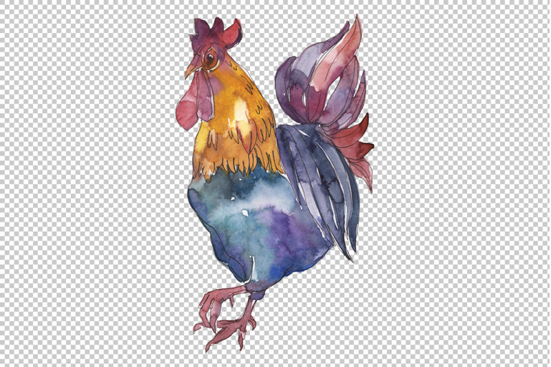 farm-animals-cock-watercolor-png