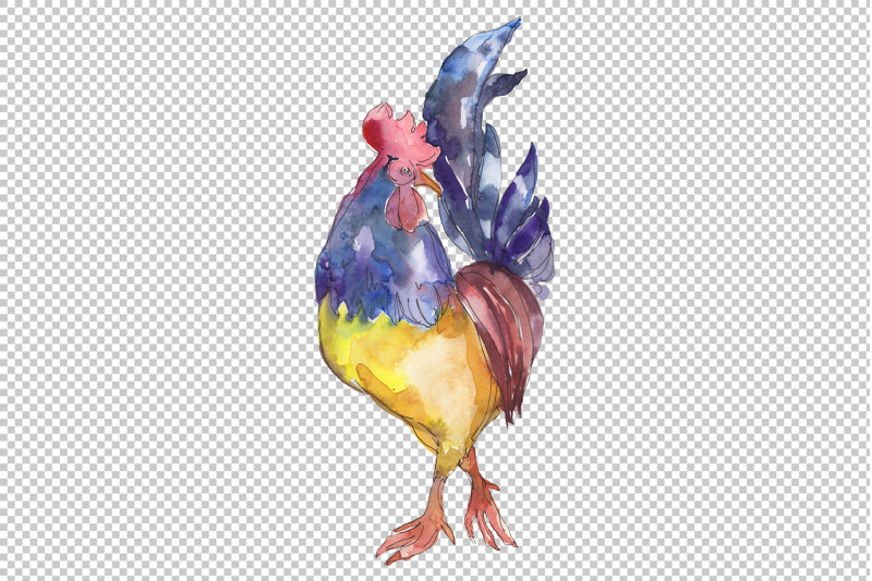 farm-animals-cock-watercolor-png