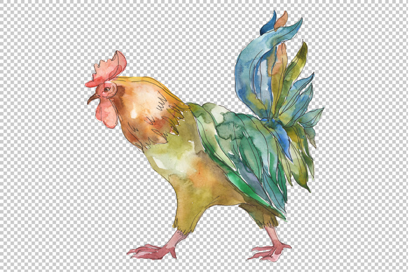 farm-animals-cock-watercolor-png