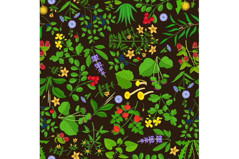 wild-flowers-and-herbs-background