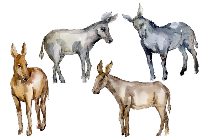 agriculture-donkey-watercolor-png