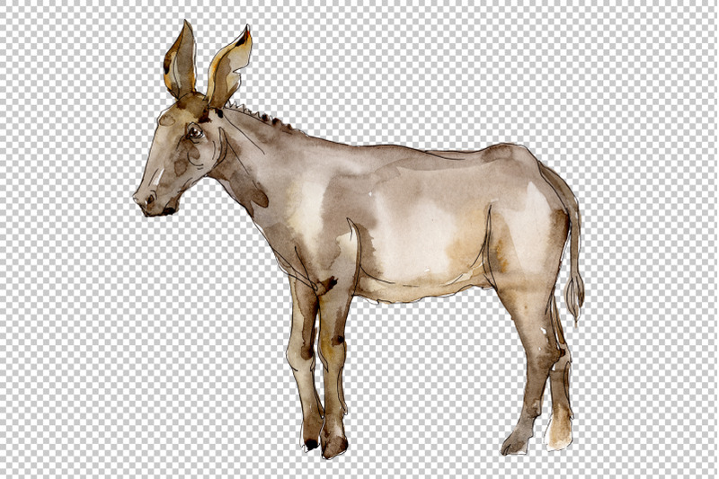 agriculture-donkey-watercolor-png