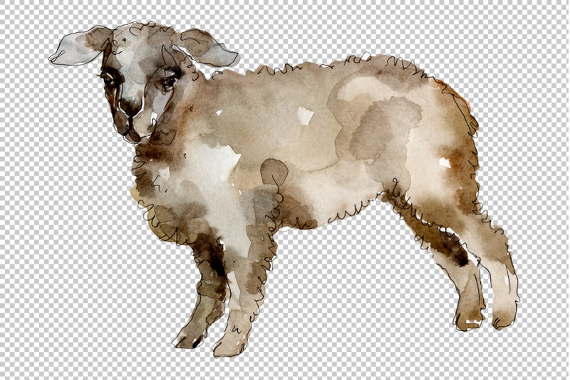 agriculture-sheep-ram-watercolor-png