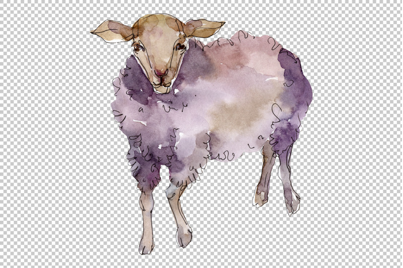 agriculture-sheep-ram-watercolor-png