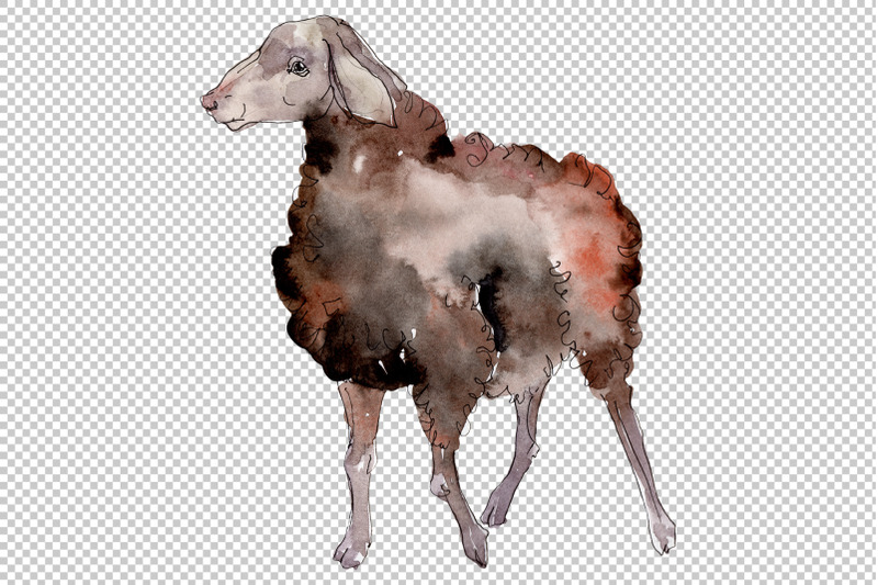 agriculture-sheep-ram-watercolor-png