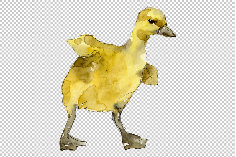 agriculture-rabbit-ducklings-watercolor-png