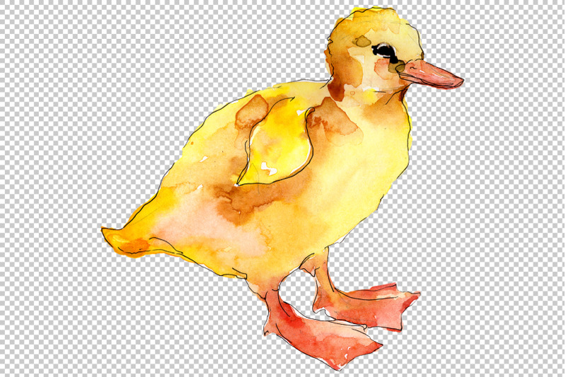 agriculture-rabbit-ducklings-watercolor-png