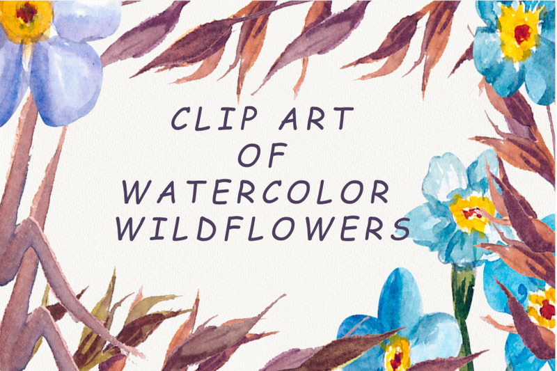 set-of-watercolor-wildflowers