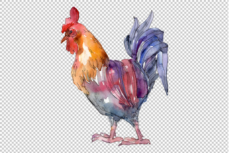 agriculture-cock-hen-watercolor-png