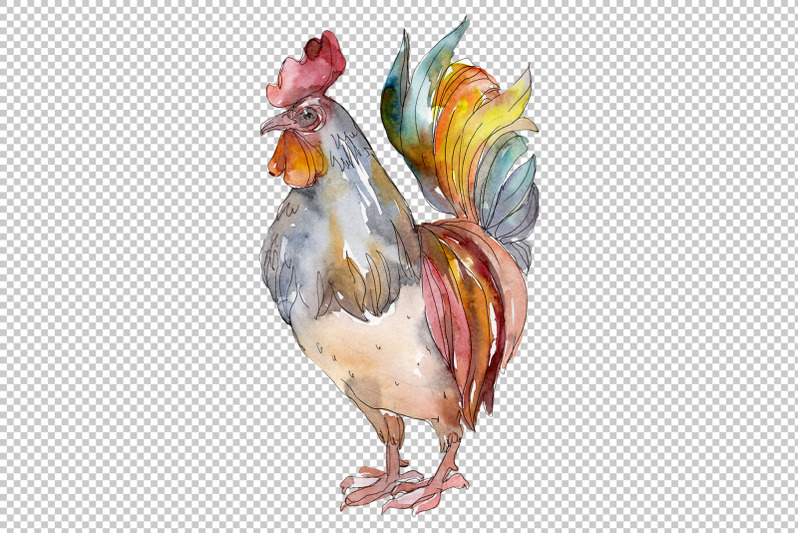 agriculture-cock-hen-watercolor-png