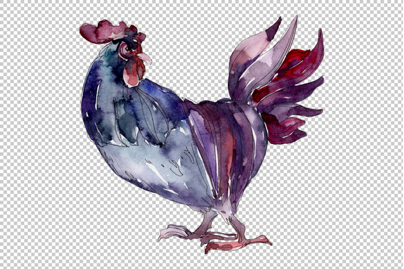 agriculture-cock-hen-watercolor-png