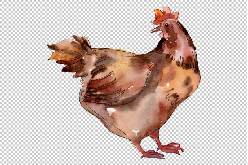 farm-animals-hen-watercolor-png