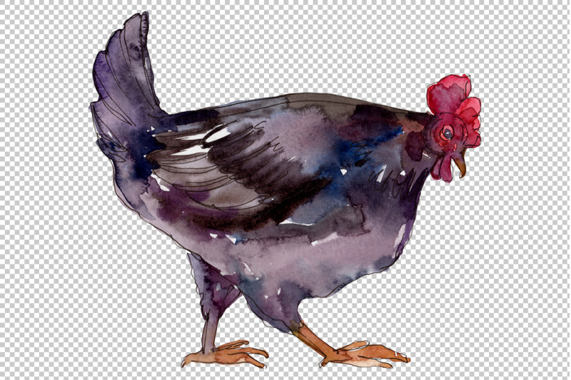 farm-animals-hen-watercolor-png