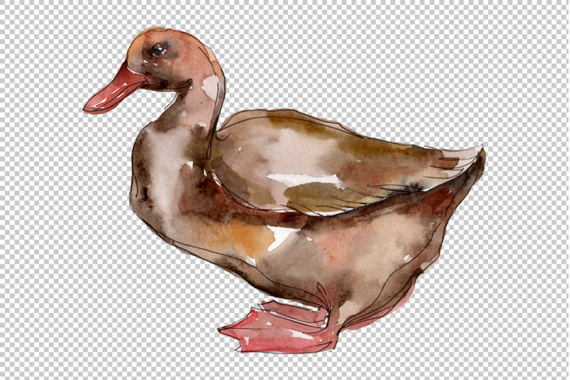 farm-animals-ducks-watercolor-png