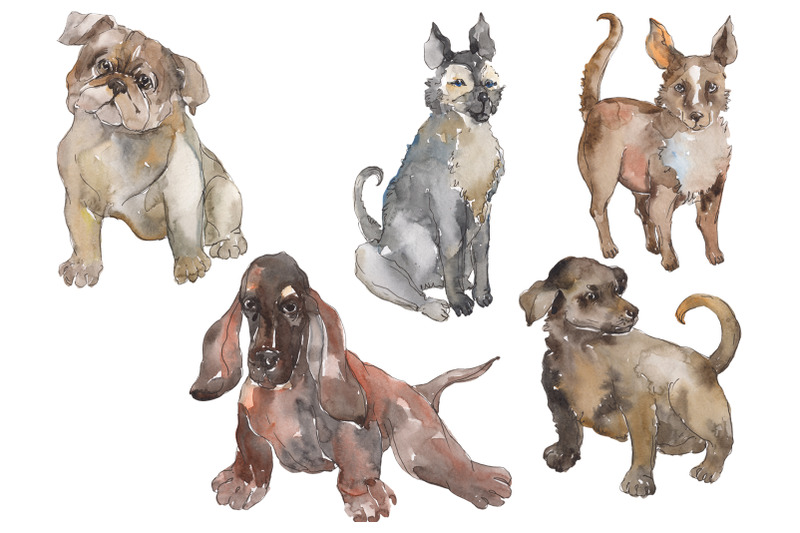 farm-animals-dogs-watercolor-png