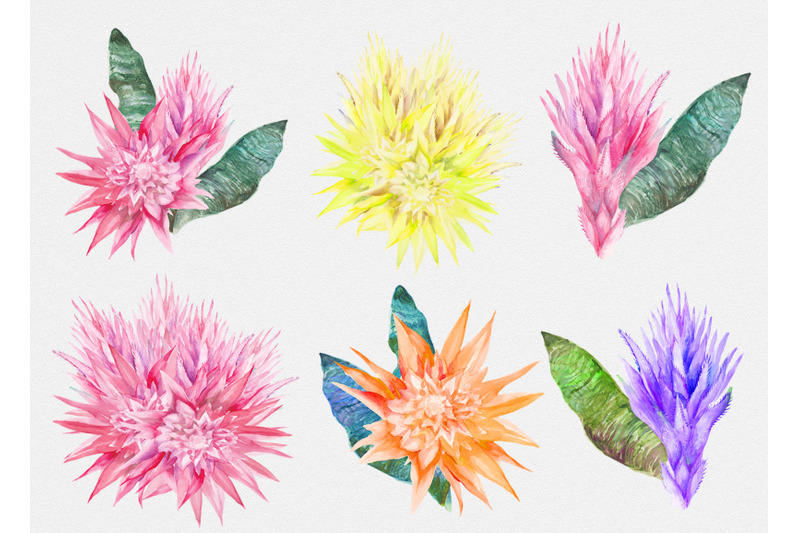 aechmea-watercolor-tropical-flowers-set