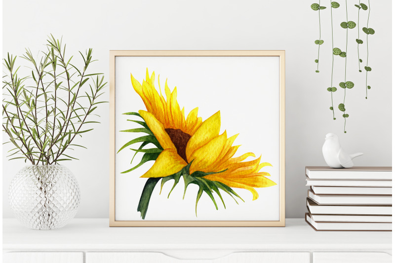 sunny-flowers-watercolor-clip-art