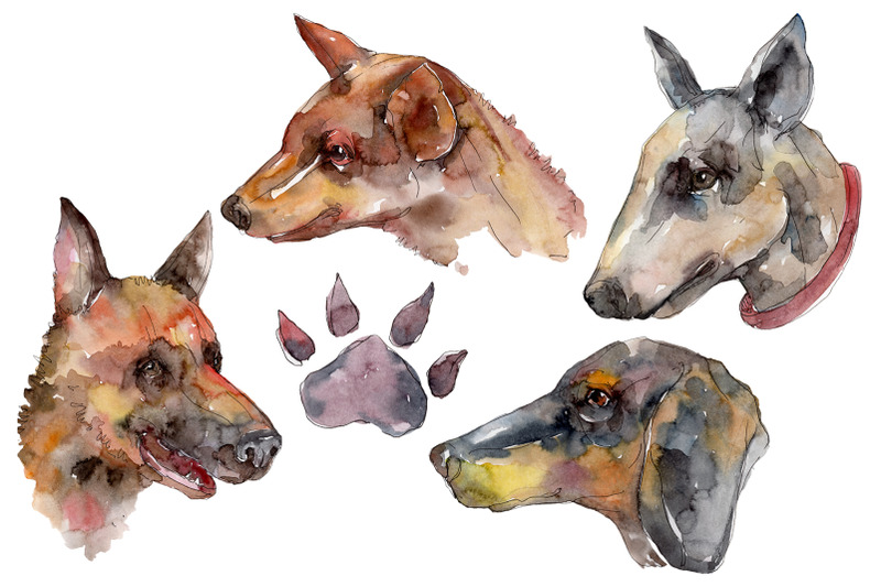 farm-animals-dog-head-watercolor-png