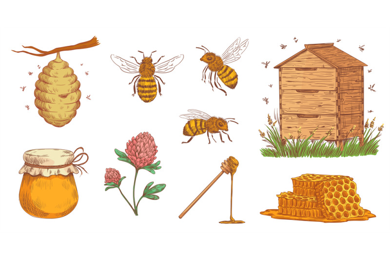 hand-drawn-honey-bee-beekeeper-engraving-bees-honeycomb-and-vintage