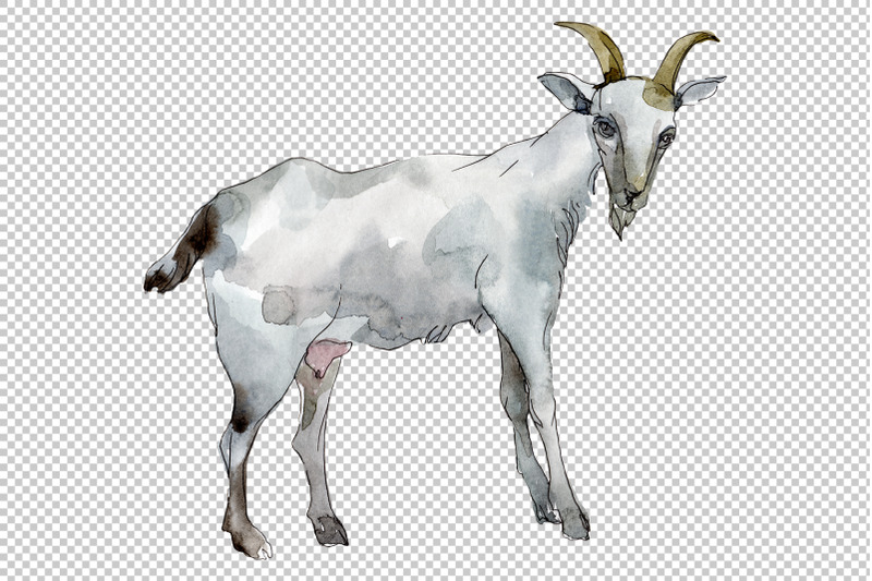 agriculture-goat-watercolor-png