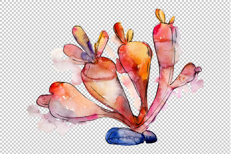 corals-seafood-watercolor-png