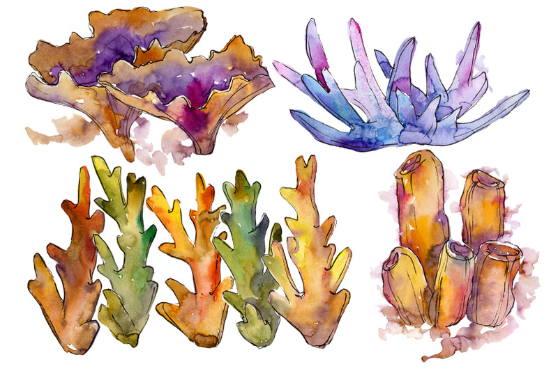 corals-joy-of-nature-watercolor-png