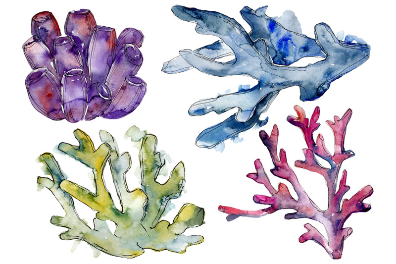 corals-seascape-watercolor-png