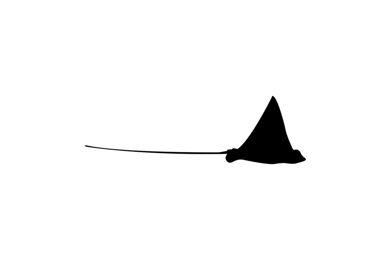 manta-fish-icon