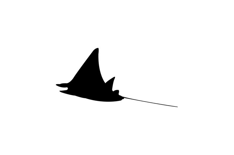 manta-fish-icon