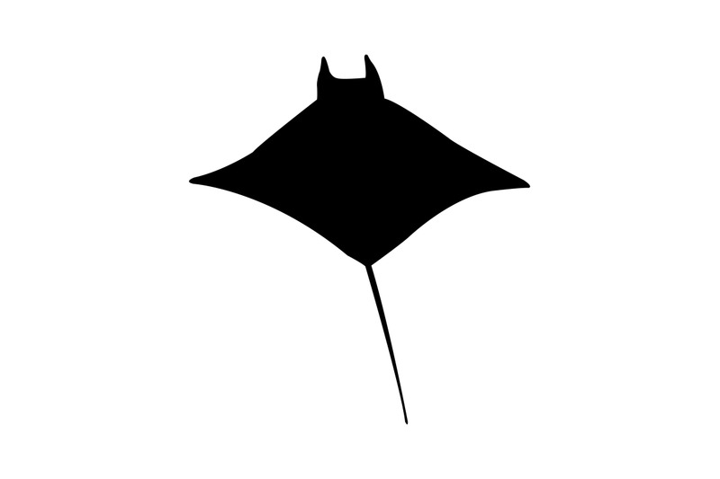 manta-fish-icon