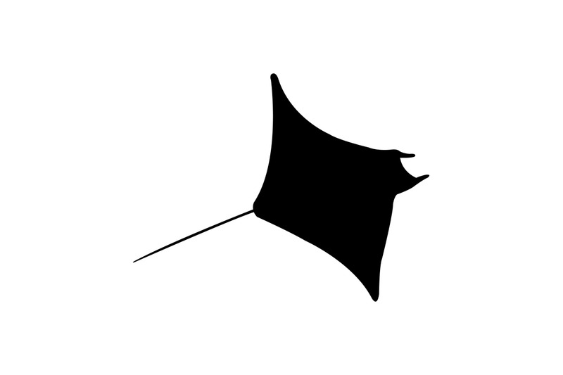 manta-fish-icon