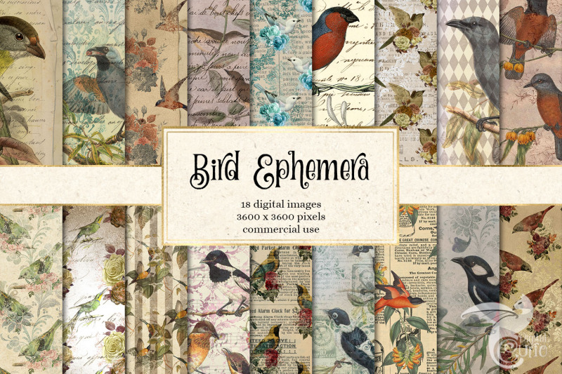 bird-ephemera-digital-paper
