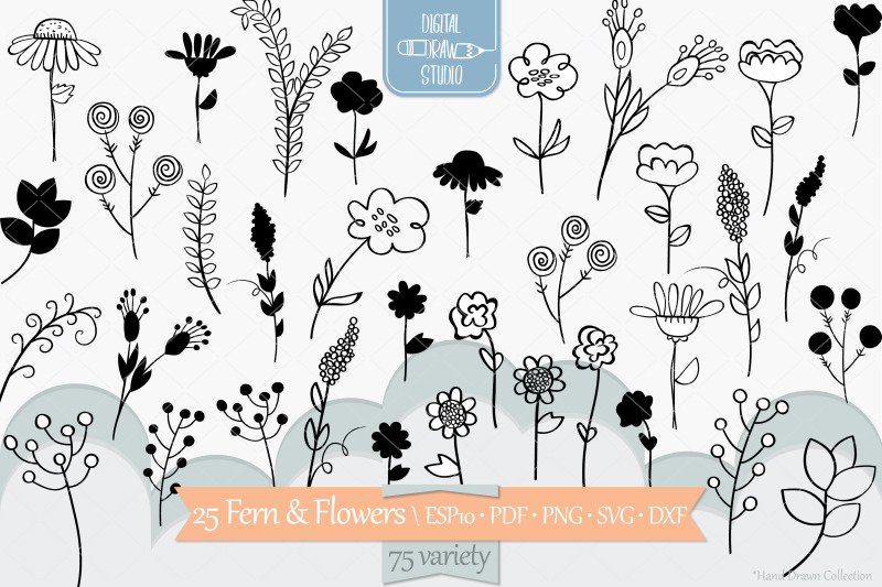 meadow-ferns-amp-wild-flowers-hand-drawn-nature-leaves-plants