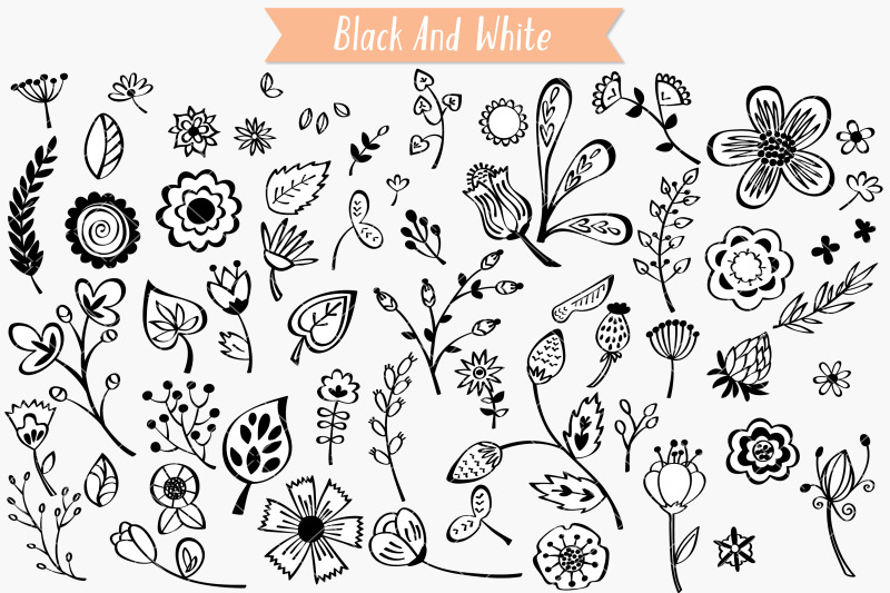 flowers-amp-leaves-hand-drawn-wild-flower-nature-plants