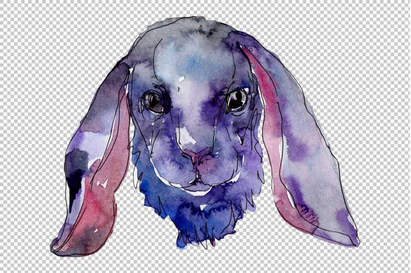 farm-animals-rabbit-head-watercolor-png