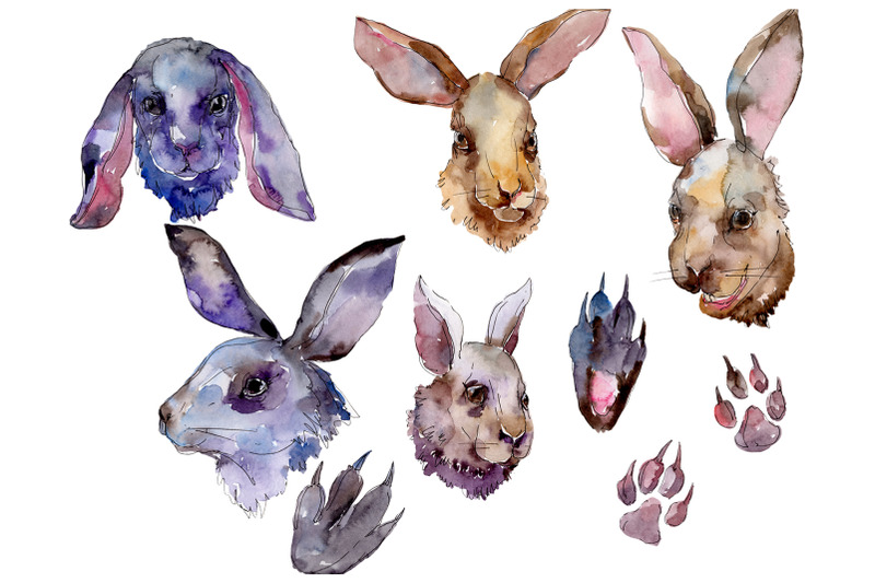 farm-animals-rabbit-head-watercolor-png