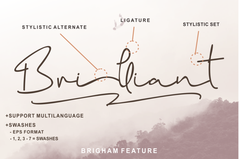 brigham-signature