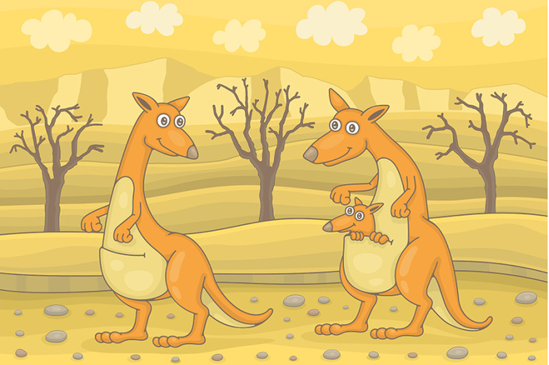 kangaroo-in-field