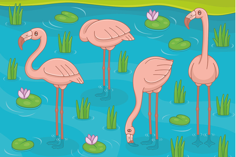 group-of-pink-flamingos
