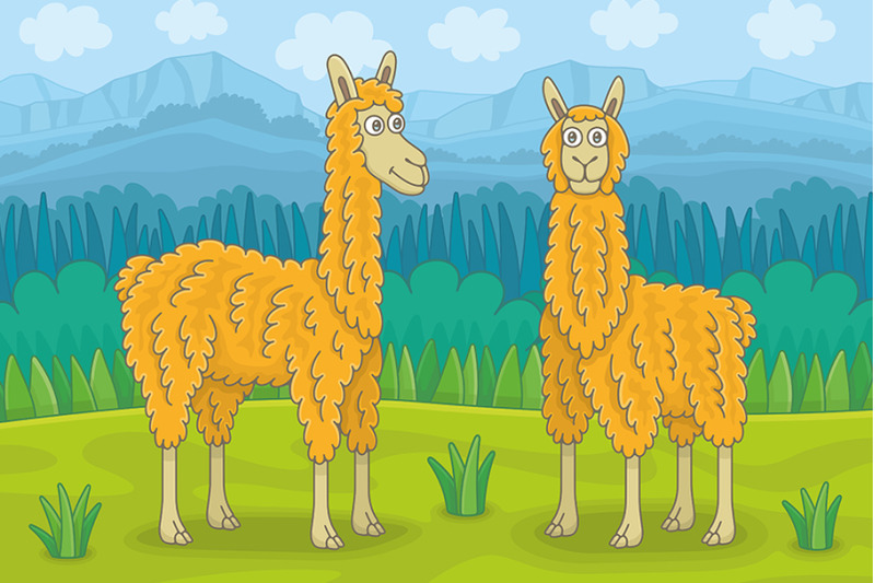 two-llamas