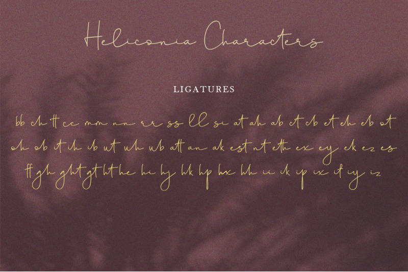 heliconia-script