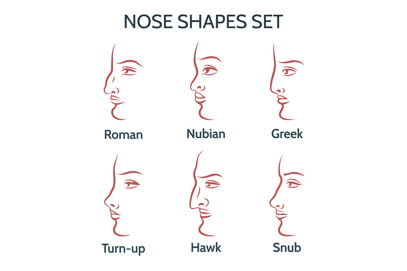 contour-nose-shapes-set
