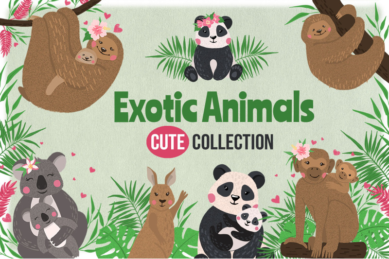 vector-exotic-animals-collection